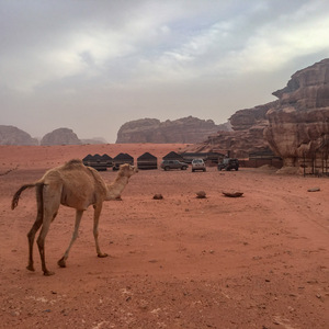 Our camp site in Wadi Rum
