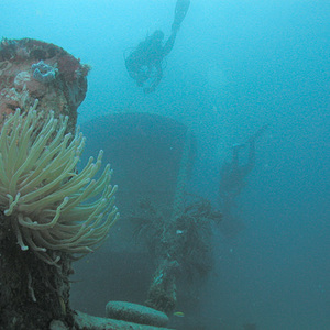MV River Taw wreck; photo by Clark Anderson/Aquaimages, used under Creative Commons Attribution-ShareAlike 2.5 license