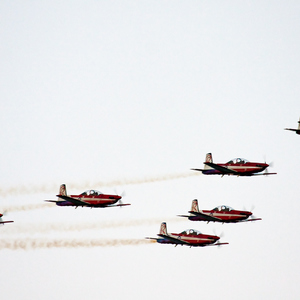 RAAF Roulettes