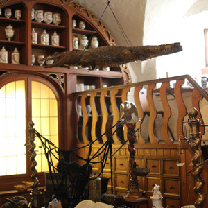 Pharmacy museum... with an alligator