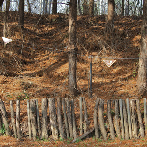 Landmine area in the DMZ