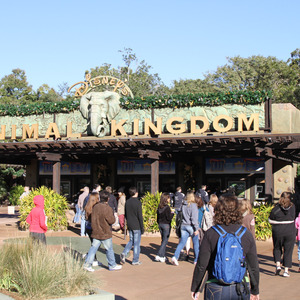 The entrance to Disney's Animal Kingdom