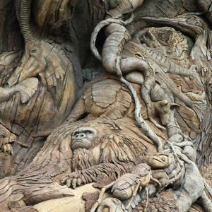 Carvings on the Tree of Life