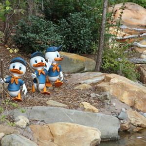 Huey, Dewey, and Louie going for a hike