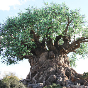 Tree of Life