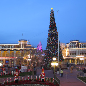 Town Square Christmas Tree