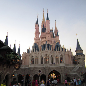 Running through Cinderella's Castle