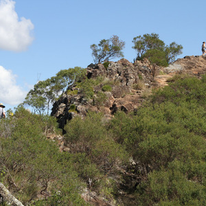 Top of Mount Ngungun