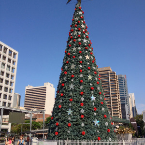 Brisbane Christmas tree
