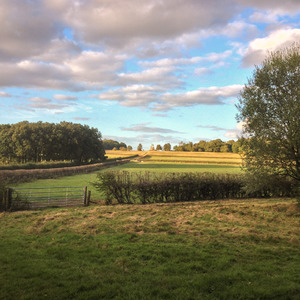 Farmland and the Copper Horse statue in Windsor Great Park