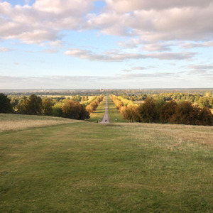 View of the Long Walk from the Copper Horse statue