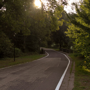 Dawn over a German road