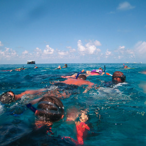 The many snorkellers following the whale shark