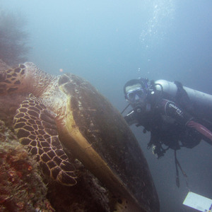 Matt with a green turtle