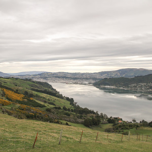 Otago Harbour and Dunedin