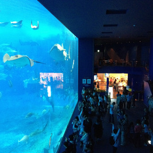 A very large aquarium