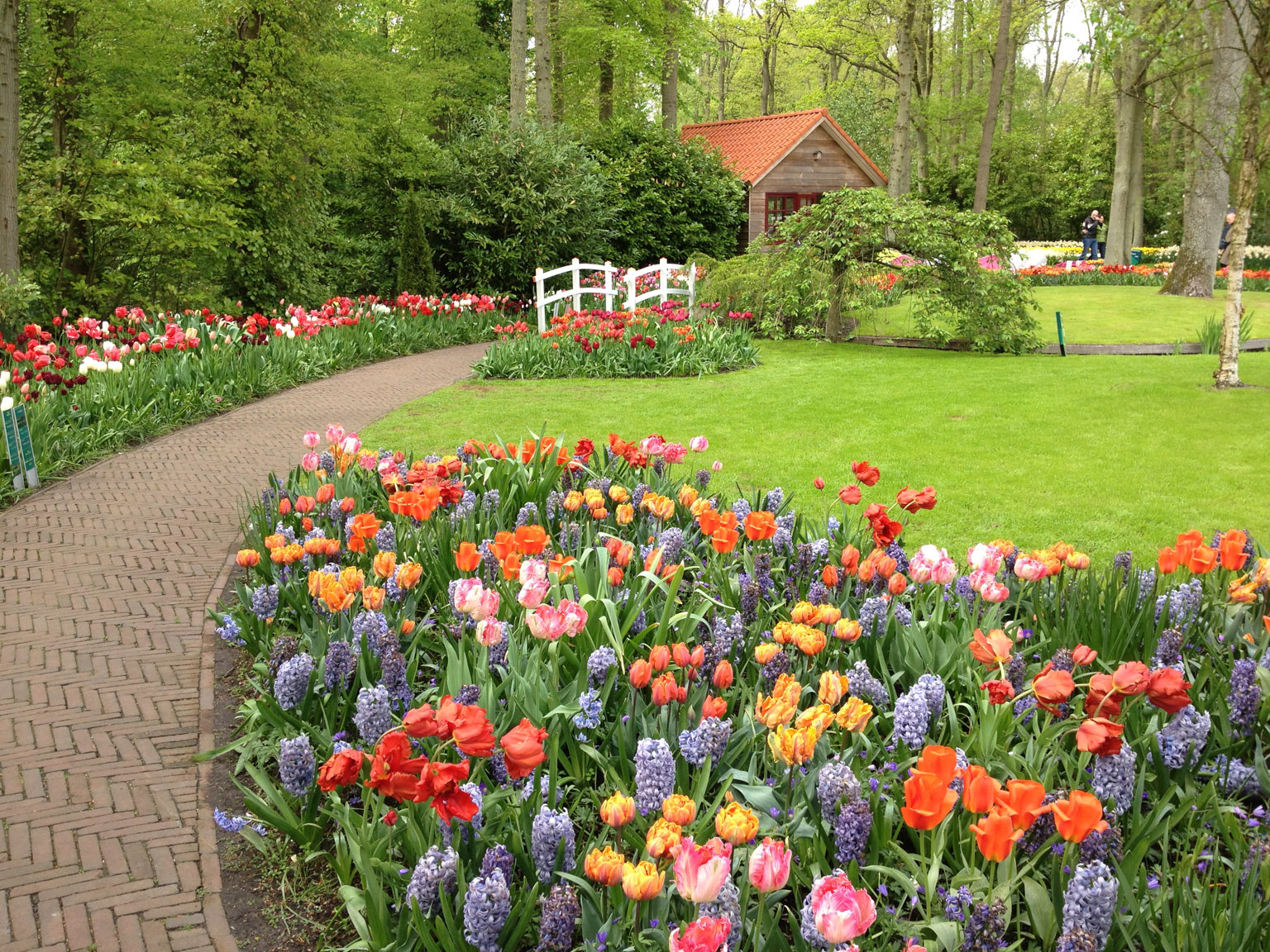 Keukenhof Gardens  Netherlands  May 2013  Douglas Stebila