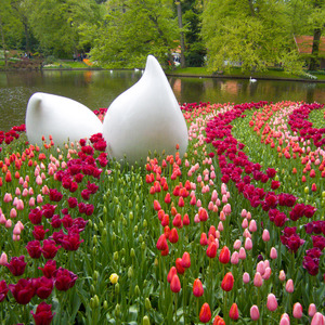 Tulip statue