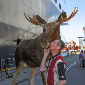 Dad kissing a moose in Kristiansand