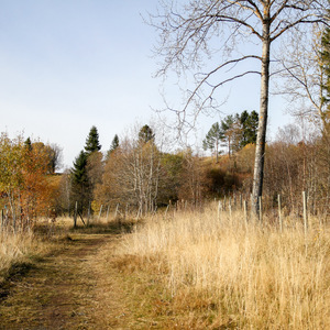 Setting out on the trail to Grønlia