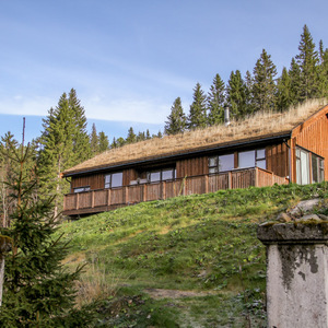 Norwegian house with grass on the roof