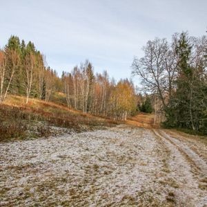 Frost-covered trail through Bymarka forest