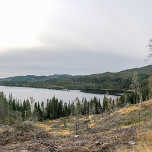 Skjellbreia Lake in Bymarka forest