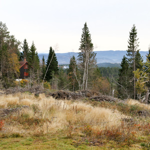 House with a view in Bymarka forest