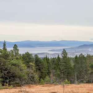 View of Trondheim from Bymarka forest