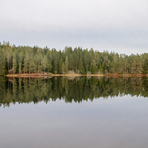 Mirror reflection in Baklidammen Lake