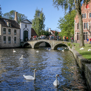 Canal in Begijnhof
