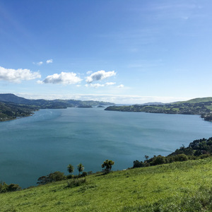 Otago Harbour