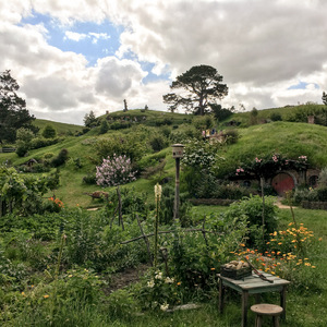 The garden in Hobbiton