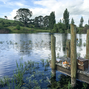 Fishing dock in the Shire