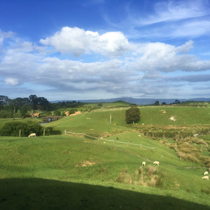 View of the Shire from afar