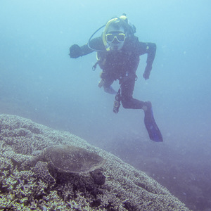 Chris with a green turtle