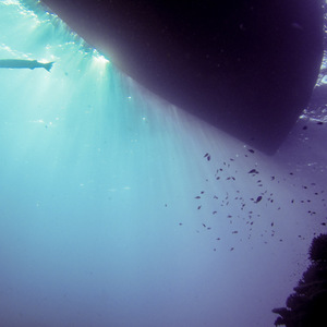 Beneath the boat