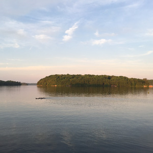 Ducks on Three Mile Lake