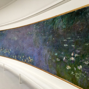 Panel of Monet's Les Nymphéas