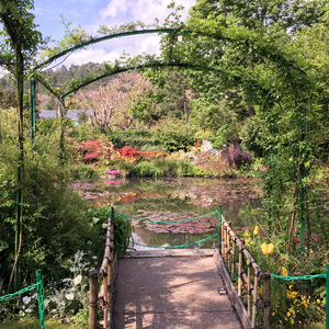 Path to water lilies pond