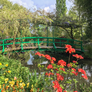 Japanese bridge in water lilies pond