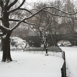 Path in Central Park