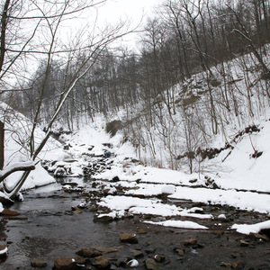 Below Lower Chedoke falls