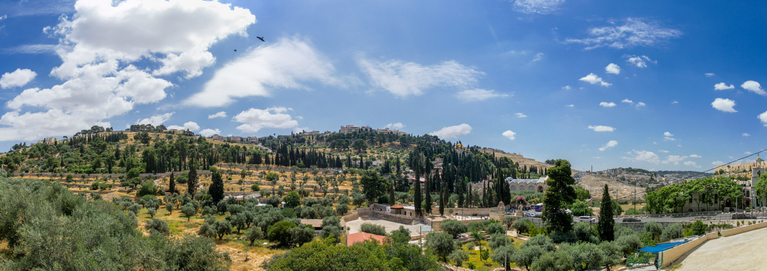 Panoramic view of the Mount of Olives