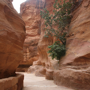 View of the Siq with irrigation channels