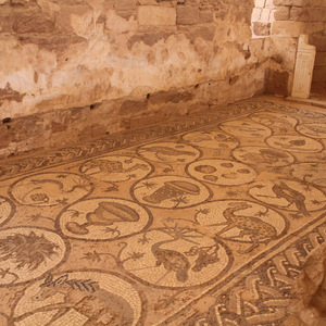 Mosaic floor