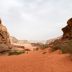 Abu Khashaba Canyon in Wadi Rum