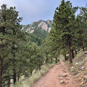 Trail in the Flat Irons