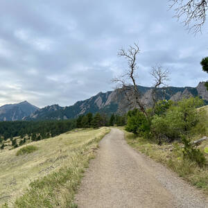 Trail in Chautauqua Park