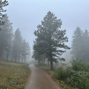 Foggy trail in Chautauqua Park